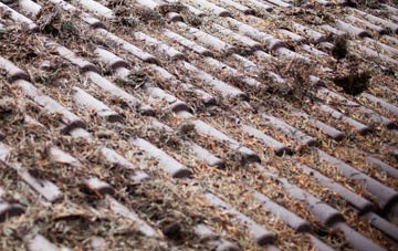 Kilpin Pike roof cleaning companies